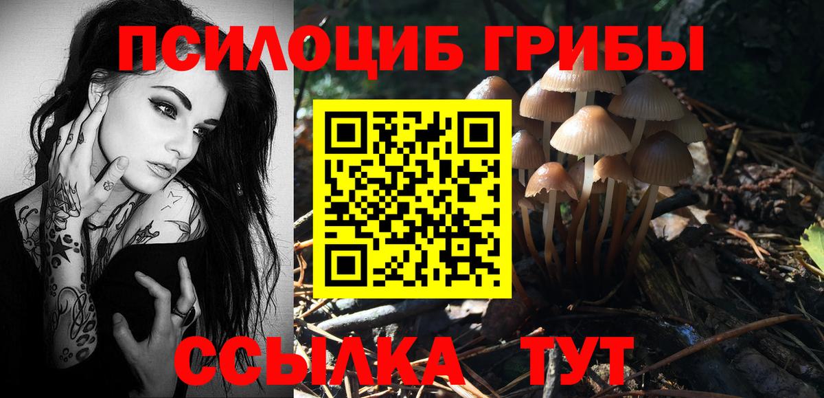 Галлюциногенные грибы мухоморы  Вход с VPN  Костомукша  Галлюциногенные грибы мухоморы 