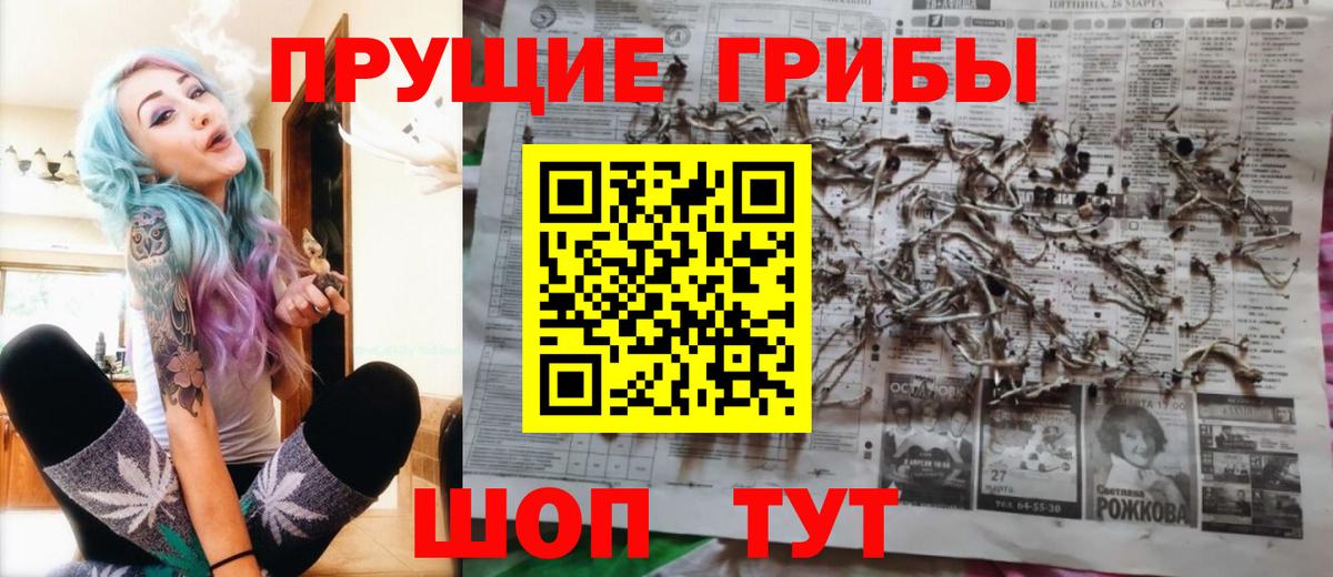 Галлюциногенные грибы Cubensis Костомукша